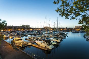 Spectacular marina views